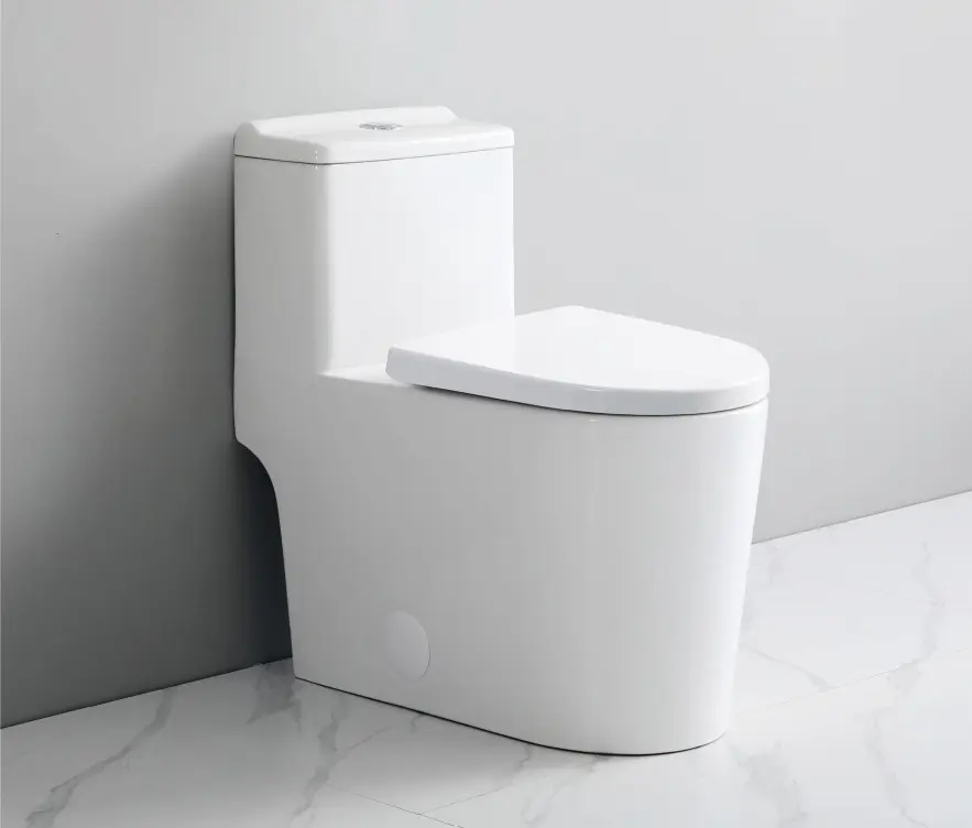 Toilet Seat (A10 compatible)